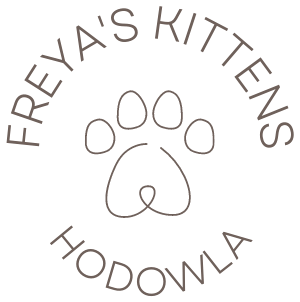Znak hodowli Freya's Kittens